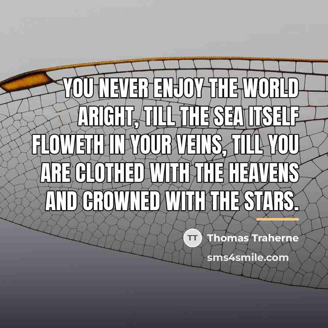 “You never enjoy the world aright, till the sea itself…” quote by Thomas Traherne