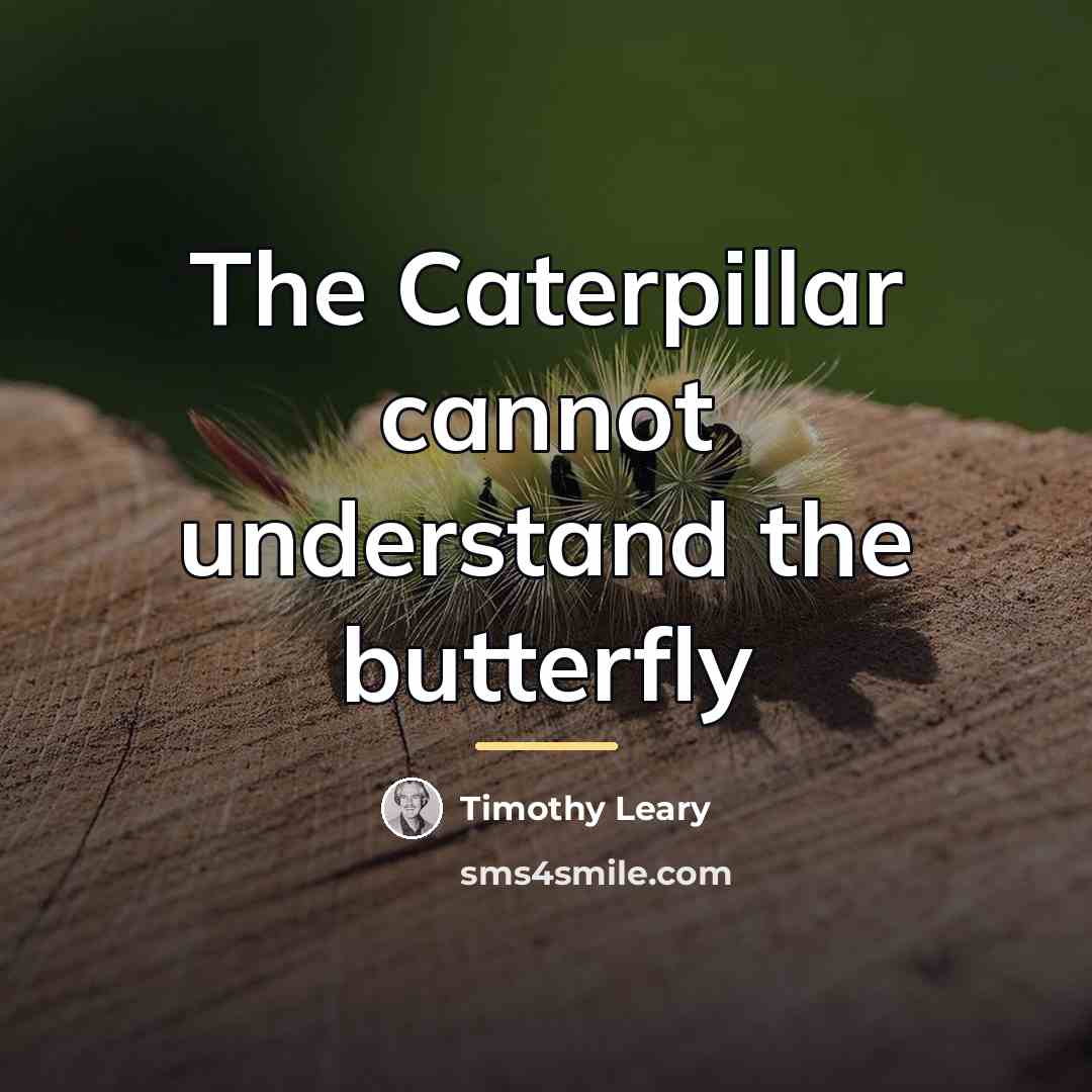 “The Caterpillar cannot understand the butterfly…” quote by Timothy Leary