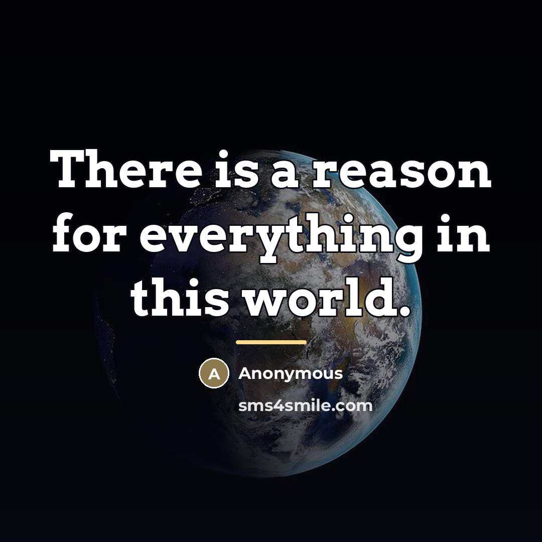 “There is a reason for everything in this world.…” quote by Anonymous