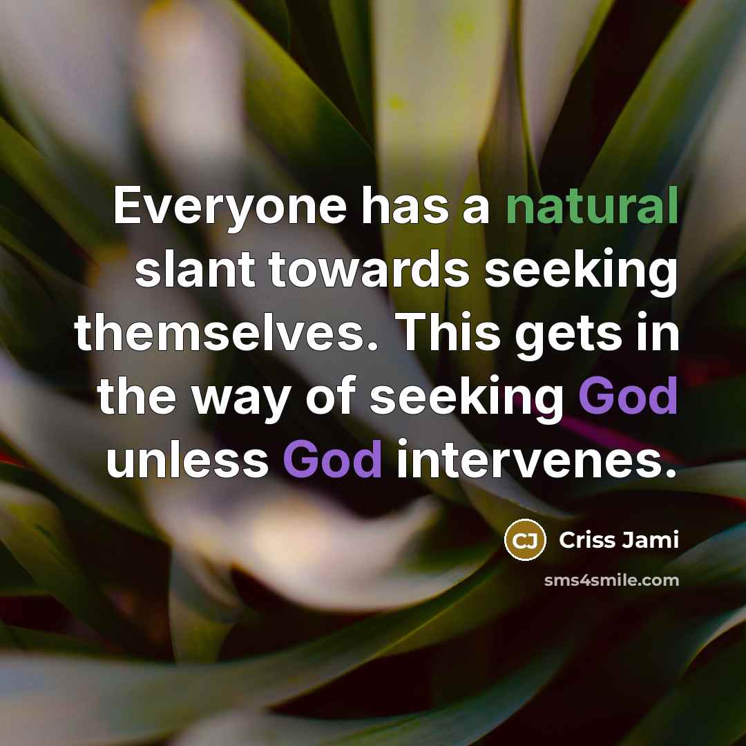 “Everyone has a natural slant towards seeking themselves. This gets…” quote by Criss Jami