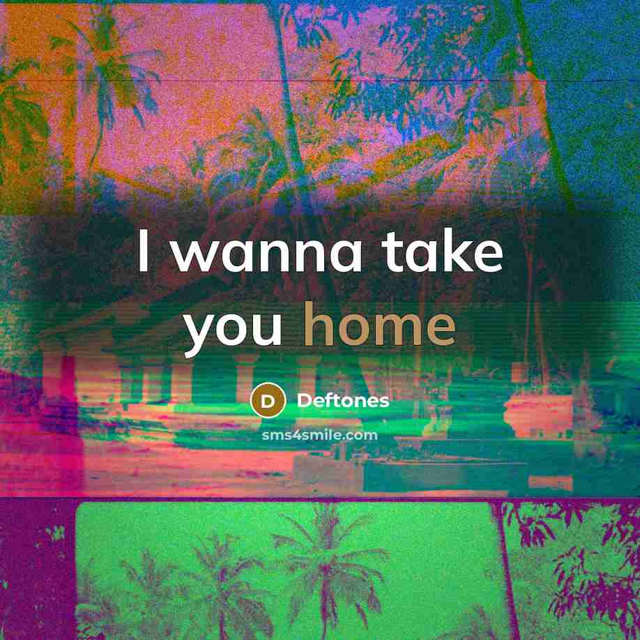 “I wanna take you home…” quote by Deftones