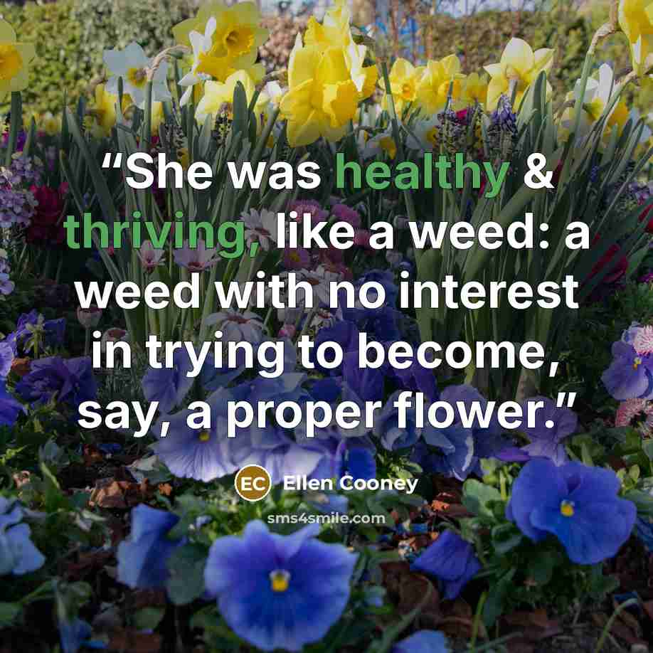 “She was healthy & thriving, like a weed: a weed with no interest in trying to become, say, a proper flower.” quote by Ellen Cooney