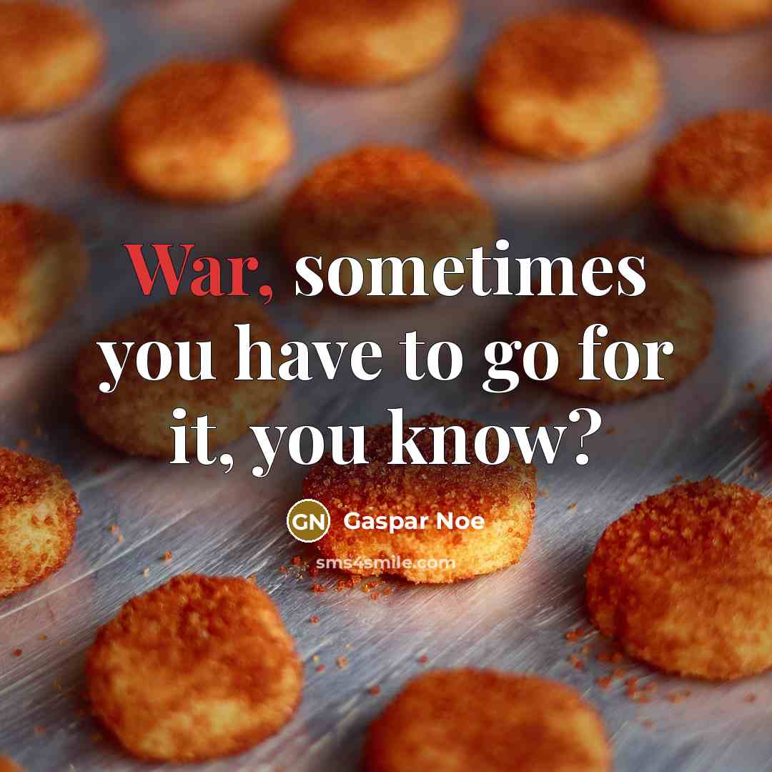 “War, sometimes you have to go for it, you know?…” quote by Gaspar Noe