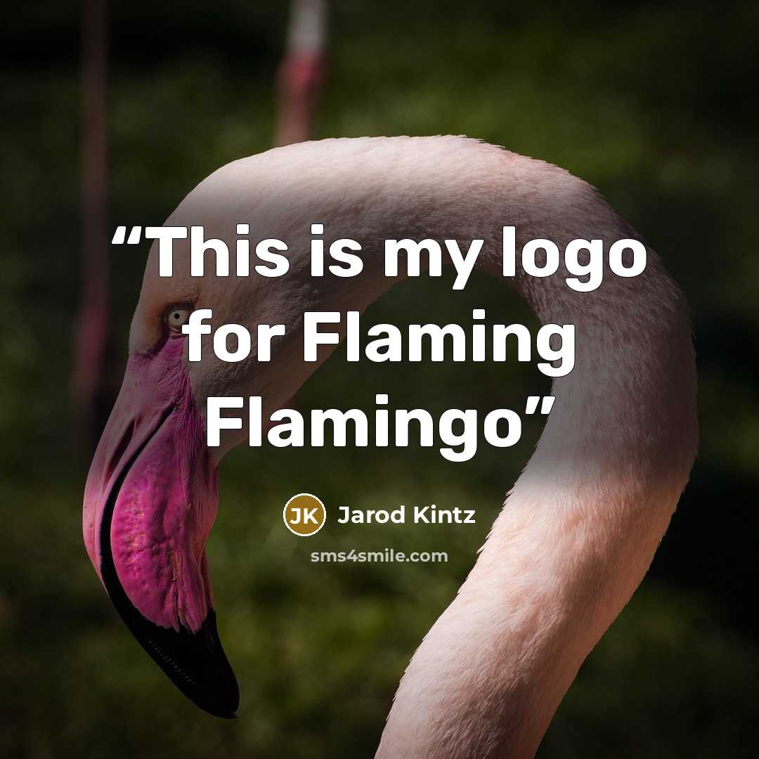 “This is my logo for Flaming Flamingo” quote by Jarod Kintz
