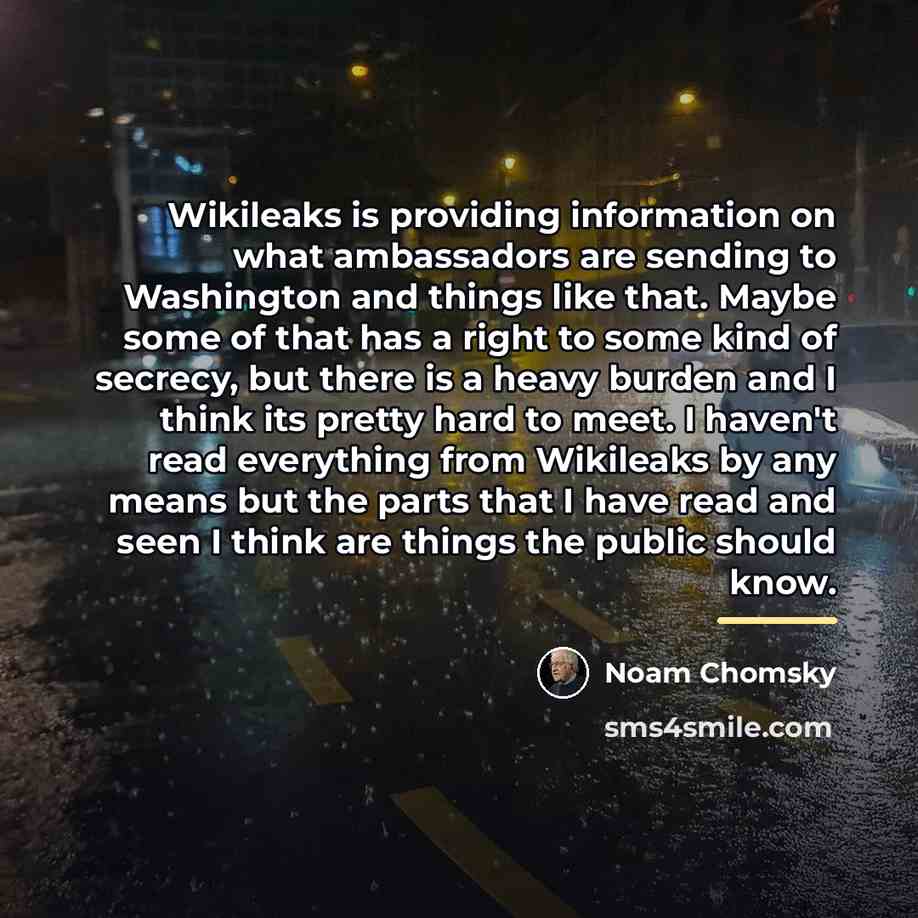 “Wikileaks is providing information on what ambassadors are sending to…” quote by Noam Chomsky