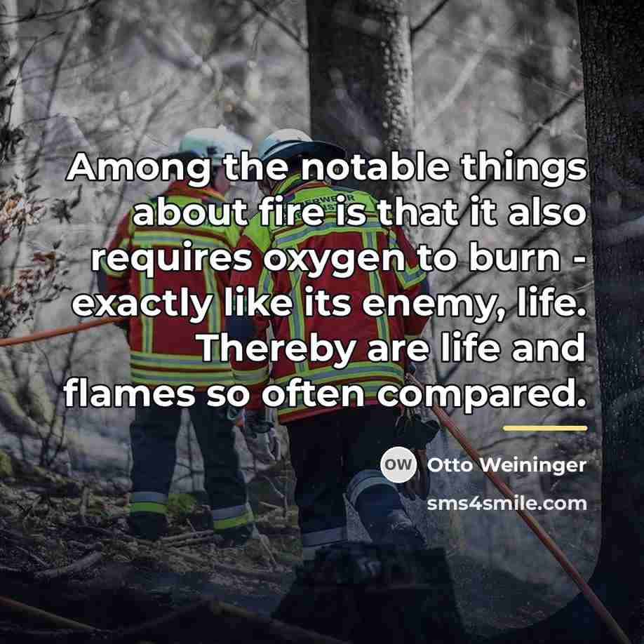 “Among the notable things about fire is that it also…” quote by Otto Weininger