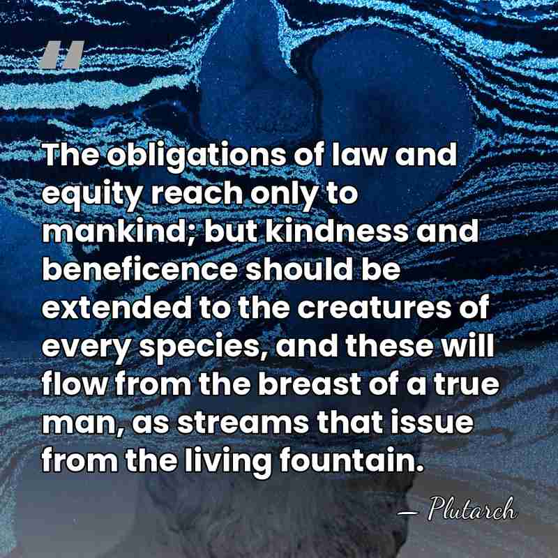 The obligations of law and equity reach only to mankind; but kindness&hellip; - Plutarch
