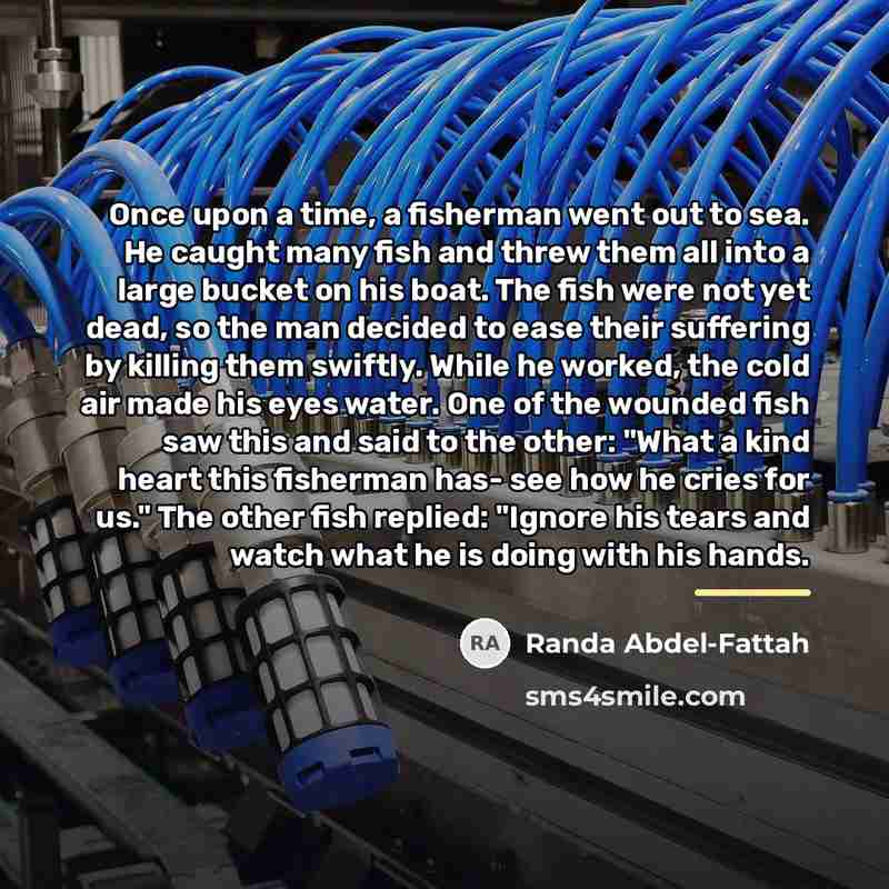 “Once upon a time, a fisherman went out to sea.…” quote by Randa Abdel-Fattah