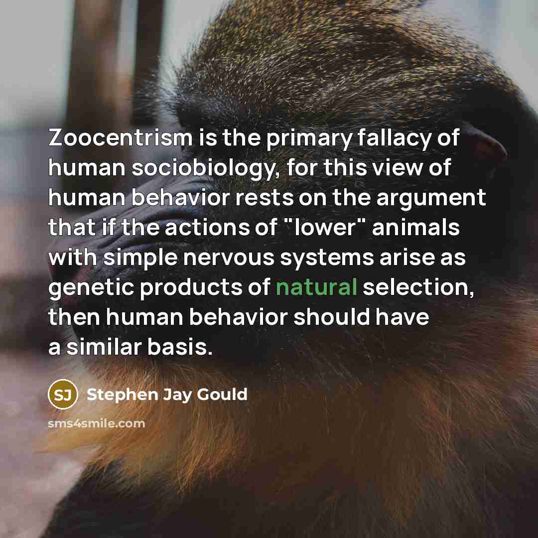 “Zoocentrism is the primary fallacy of human sociobiology, for this…” quote by Stephen Jay Gould