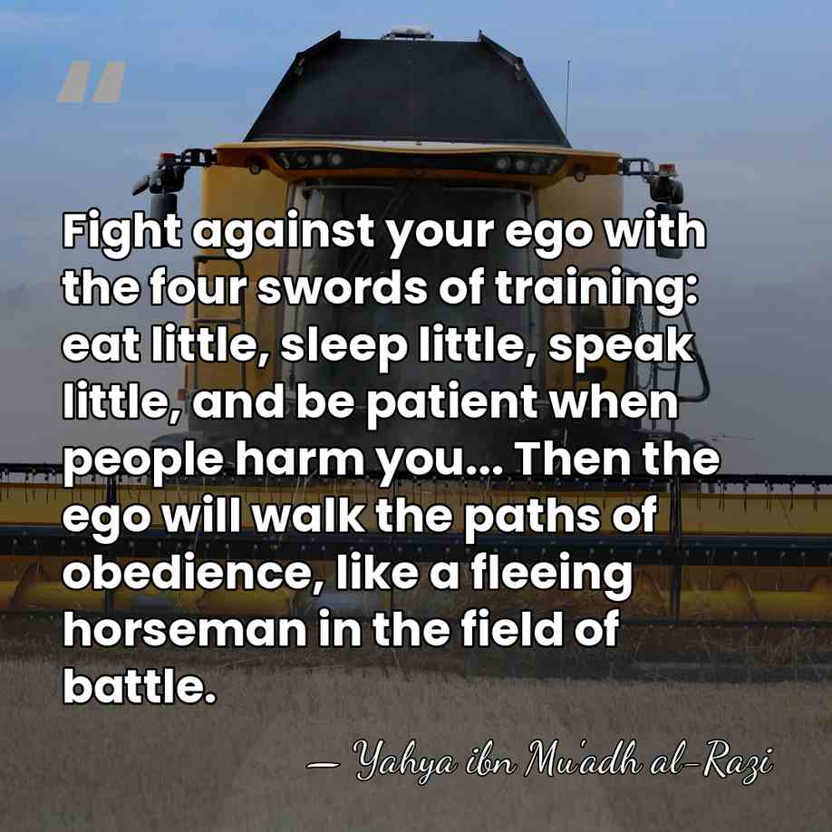 Fight against your ego with the four swords of training: eat little,&hellip; - Yahya ibn Mu'adh al-Razi