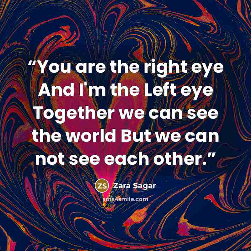“You are the right eye And I'm the Left eye Together we can see the world But we can not see each other.” quote by Zara Sagar