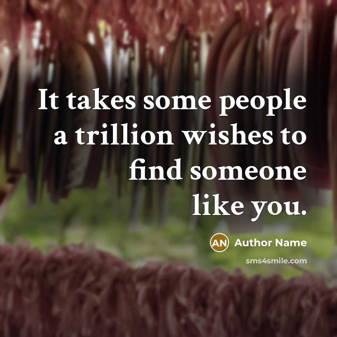 “It takes some people a trillion wishes to find someone like you.” quote by Author Name