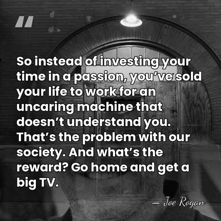 So instead of investing your time in a passion, you’ve sold your&hellip; - Joe Rogan