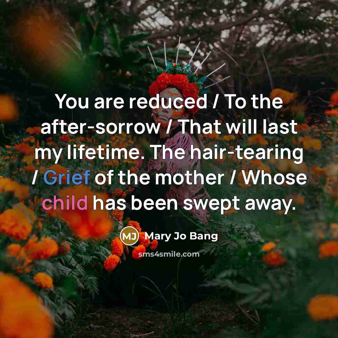 “You are reduced / To the after-sorrow / That will…” quote by Mary Jo Bang