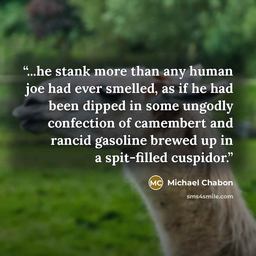 “...he stank more than any human joe had ever smelled, as if he had been dipped in some ungodly confection of camembert and rancid gasoline brewed up in a spit-filled cuspidor.” quote by Michael Chabon