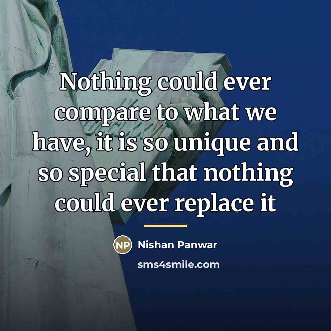 “Nothing could ever compare to what we have, it is…” quote by Nishan Panwar