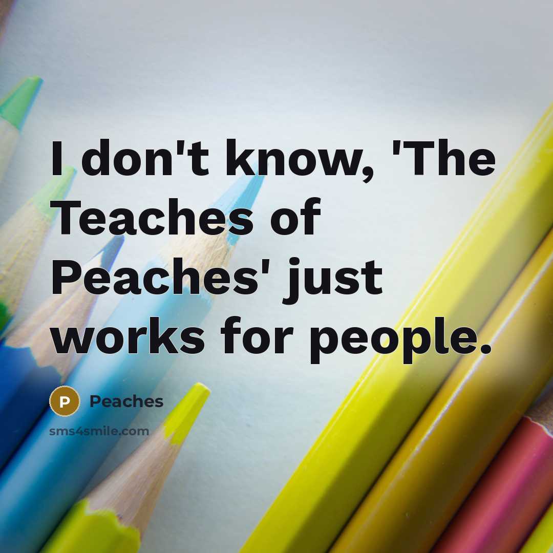 “I don't know, 'The Teaches of Peaches' just works for people.” quote by Peaches