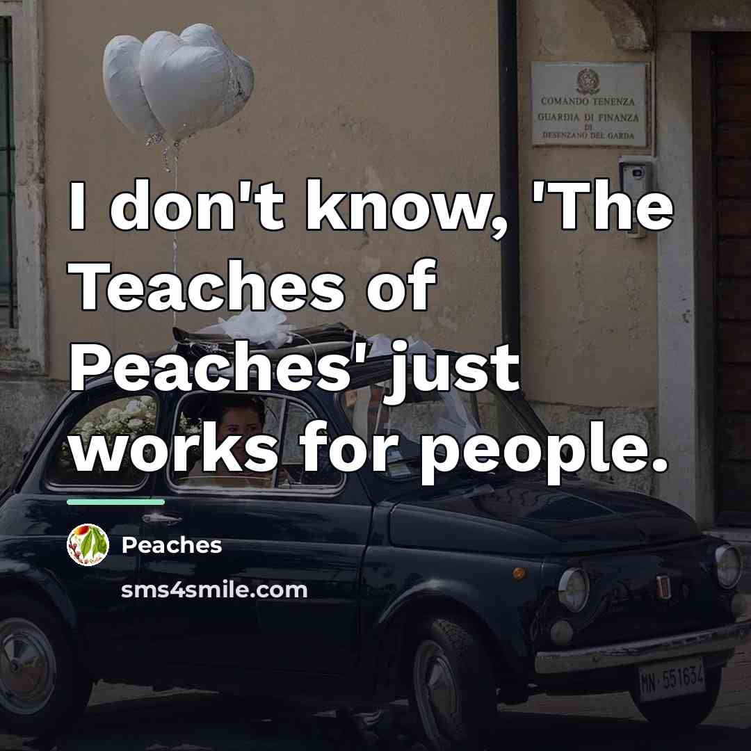 “I don't know, 'The Teaches of Peaches' just works for…” quote by Peaches