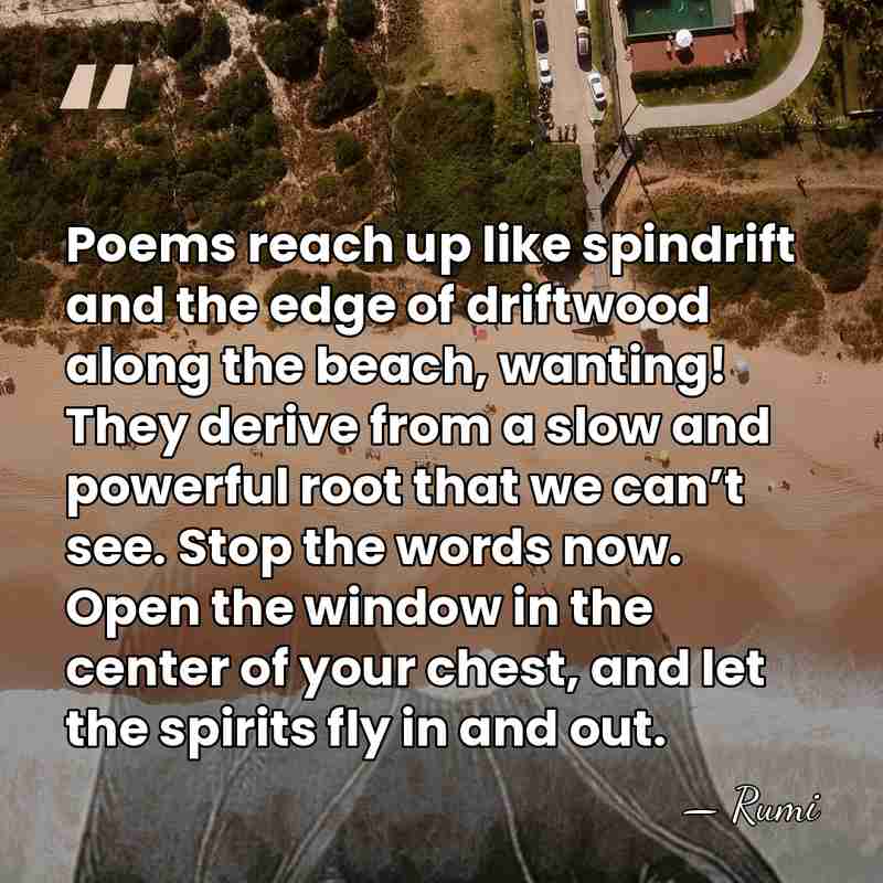 Poems reach up like spindrift and the edge of driftwood along the&hellip; - Rumi