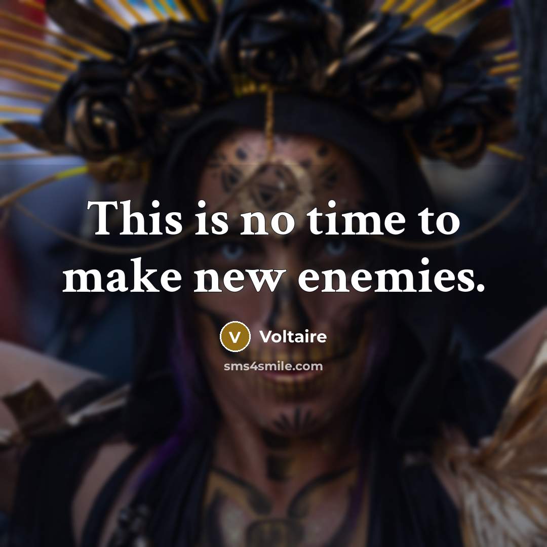 “This is no time to make new enemies.…” quote by Voltaire