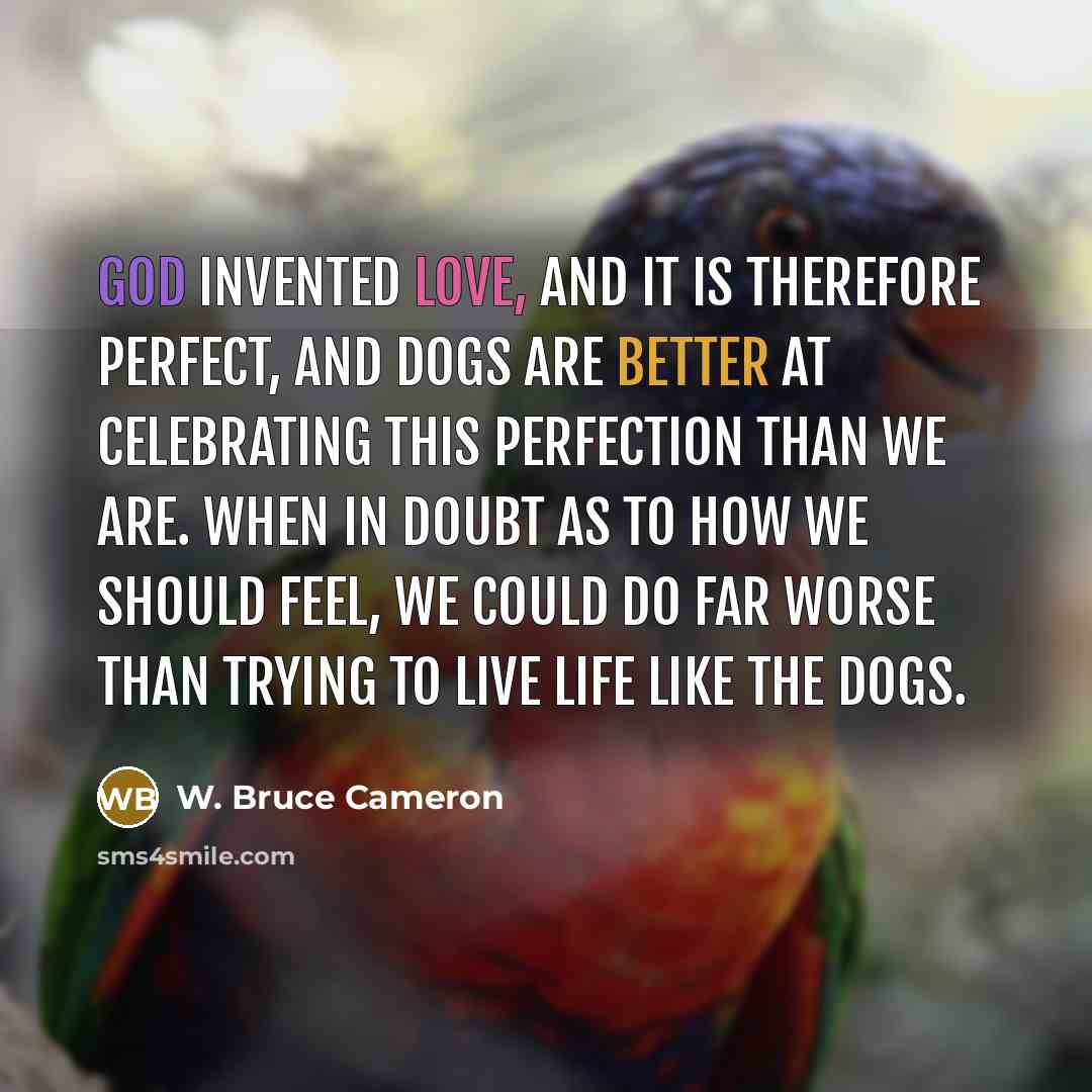 “God invented love, and it is therefore perfect, and dogs are better at celebrating this perfection than we are. When in doubt as to how we should feel, we could do far worse than trying to live life like the dogs.” quote by W. Bruce Cameron