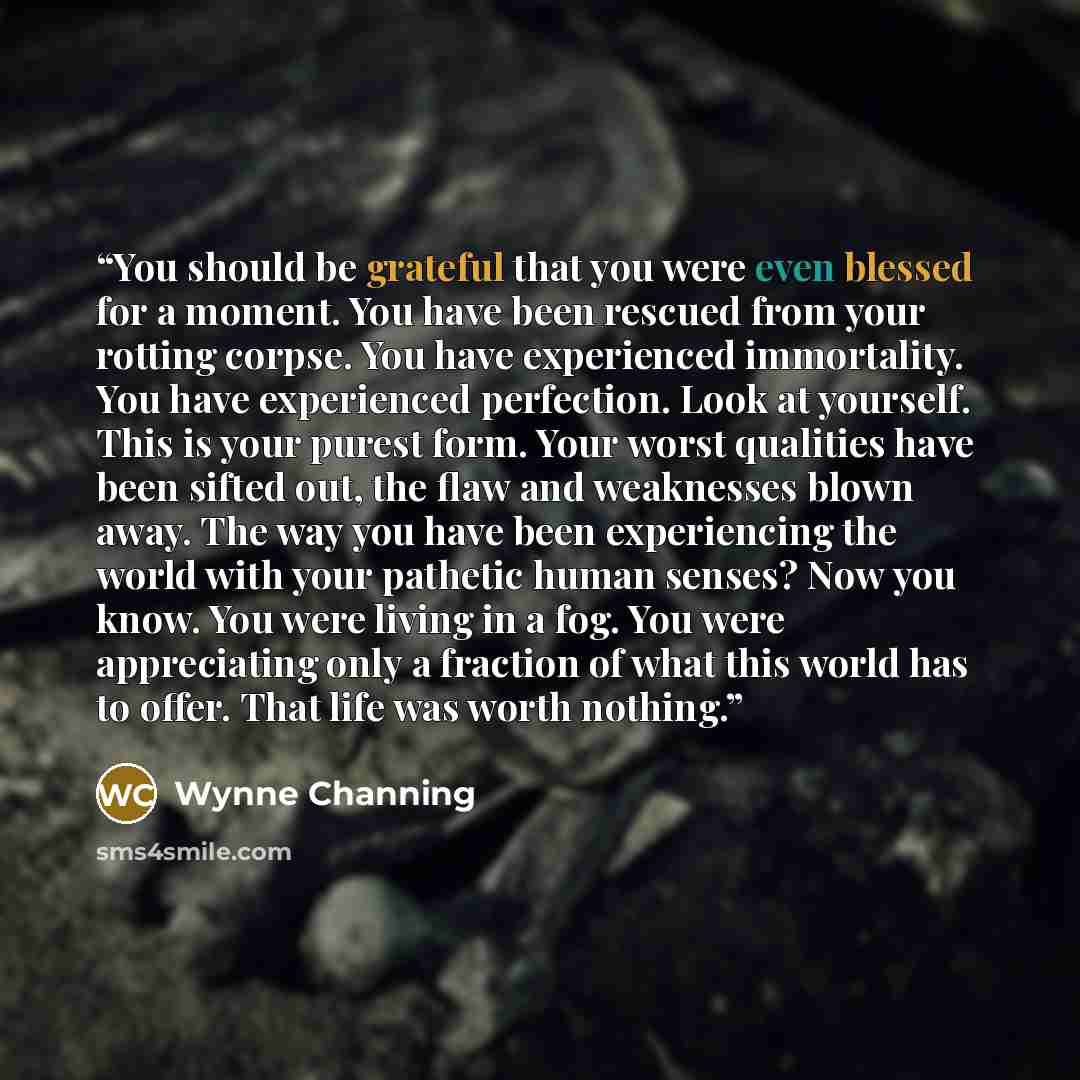 “You should be grateful that you were even blessed for a moment. You have been rescued from your rotting corpse. You have experienced immortality. You have experienced perfection. Look at yourself. This is your purest form. Your worst qualities have been sifted out, the flaw and weaknesses blown…” quote by Wynne Channing