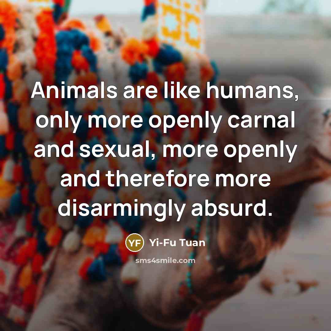 “Animals are like humans, only more openly carnal and sexual,…” quote by Yi-Fu Tuan