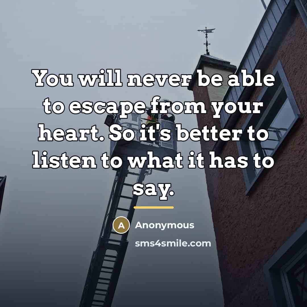 “You will never be able to escape from your heart.…” quote by Anonymous