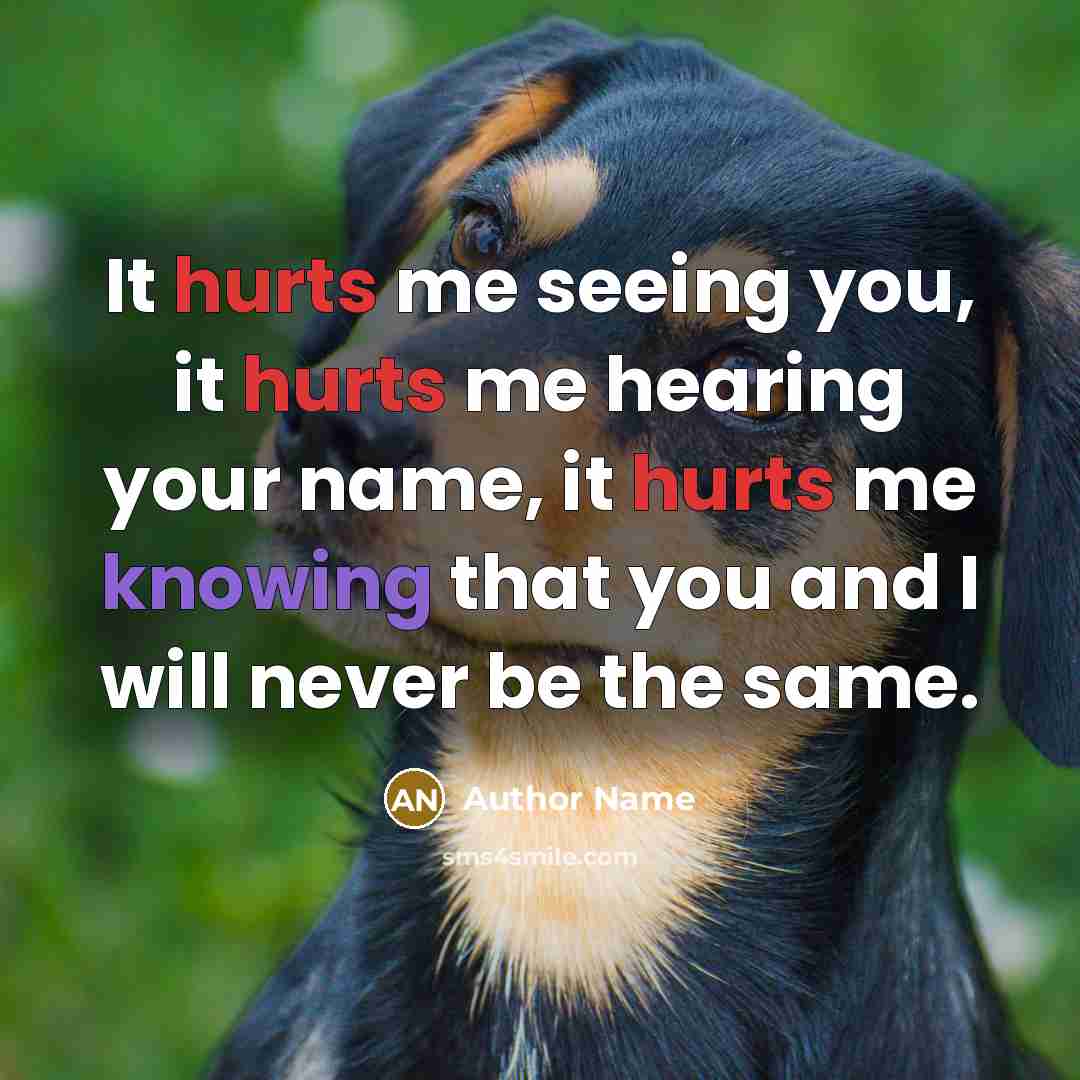“It hurts me seeing you, it hurts me hearing your name, it hurts me knowing that you and I will never be the same.” quote by Author Name