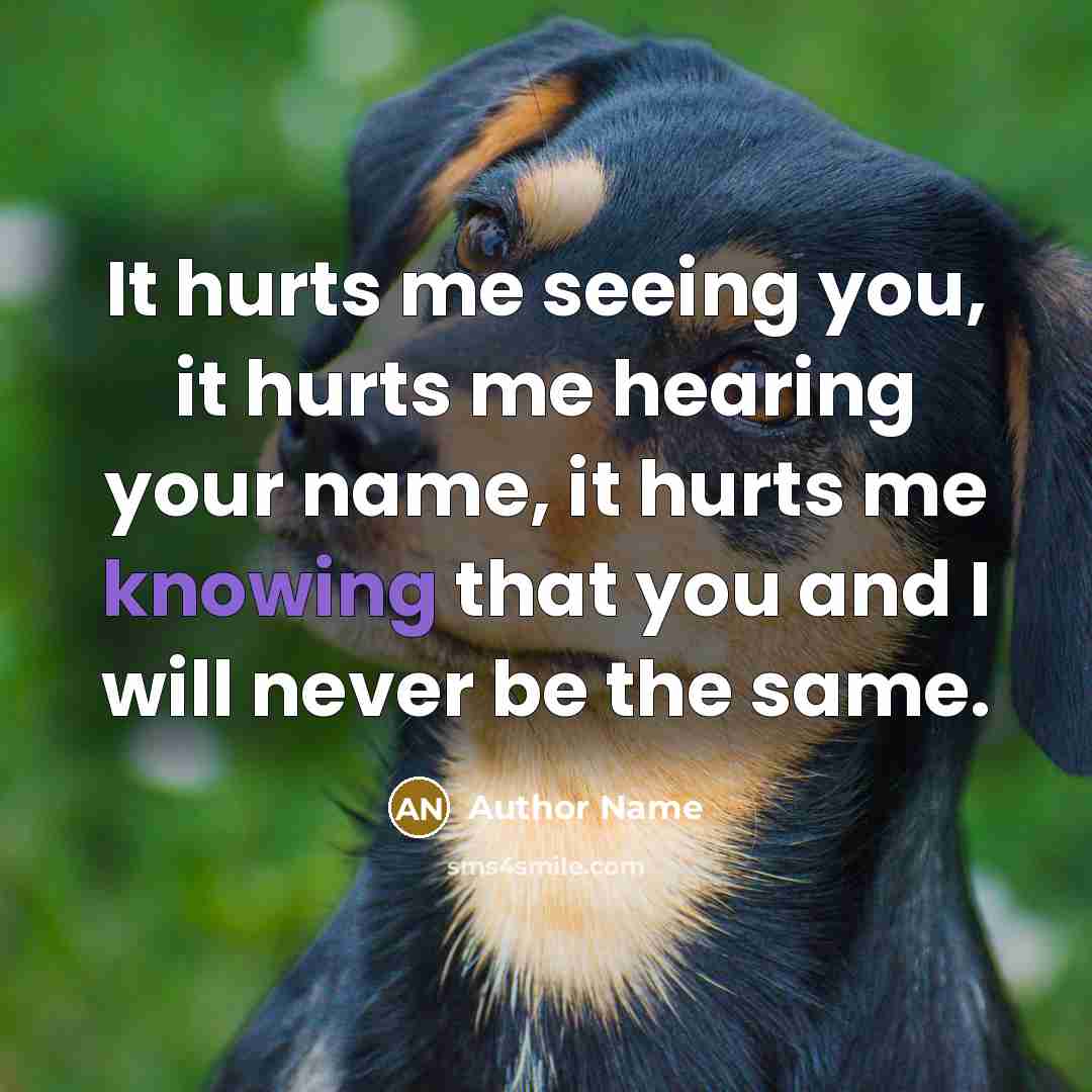 “It hurts me seeing you, it hurts me hearing your…” quote by Author Name