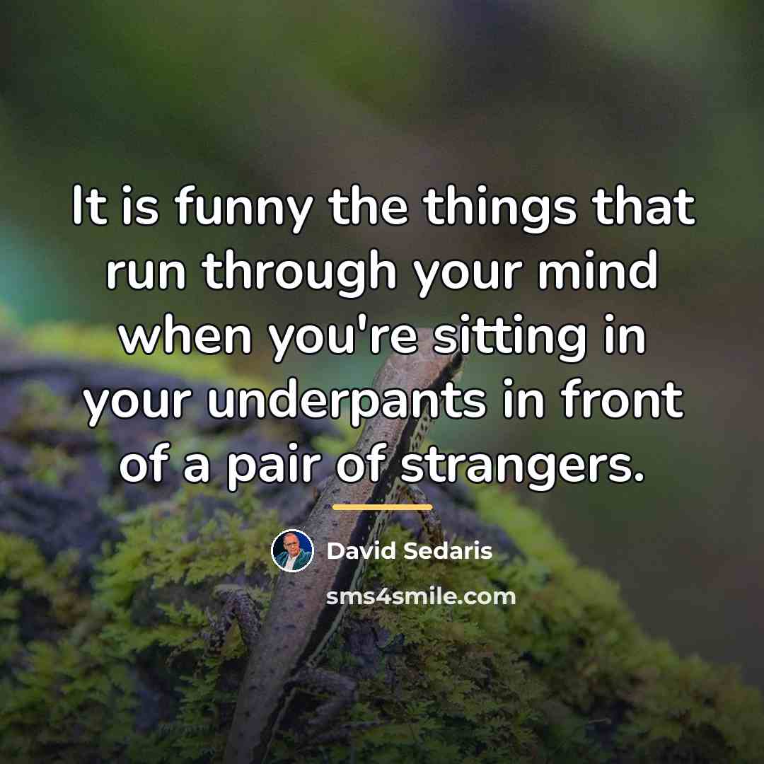 “It is funny the things that run through your mind…” quote by David Sedaris