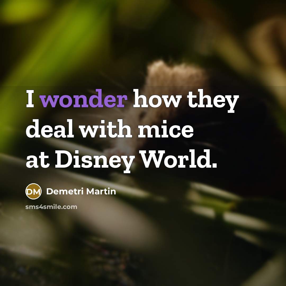 “I wonder how they deal with mice at Disney World.…” quote by Demetri Martin