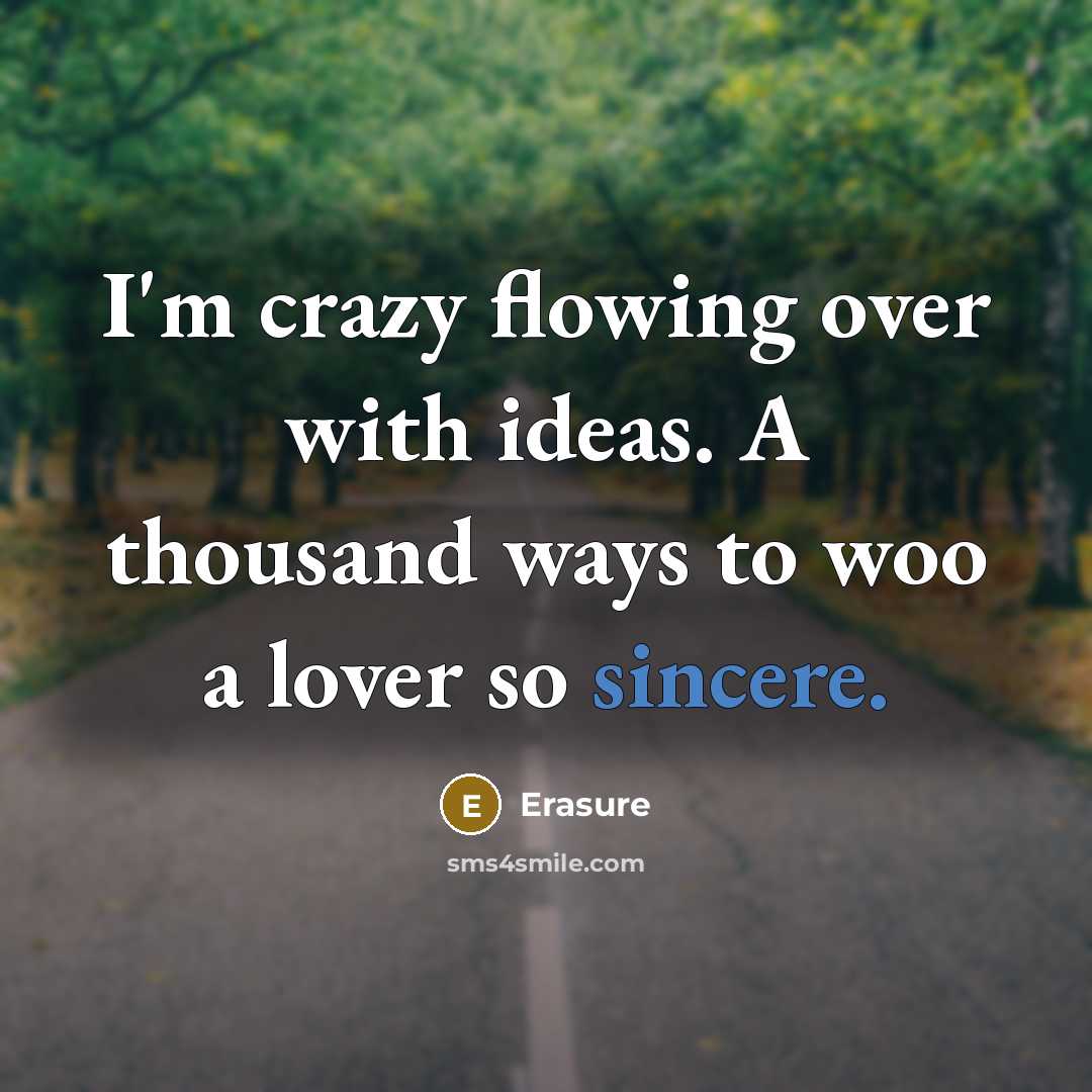 “I'm crazy flowing over with ideas. A thousand ways to…” quote by Erasure