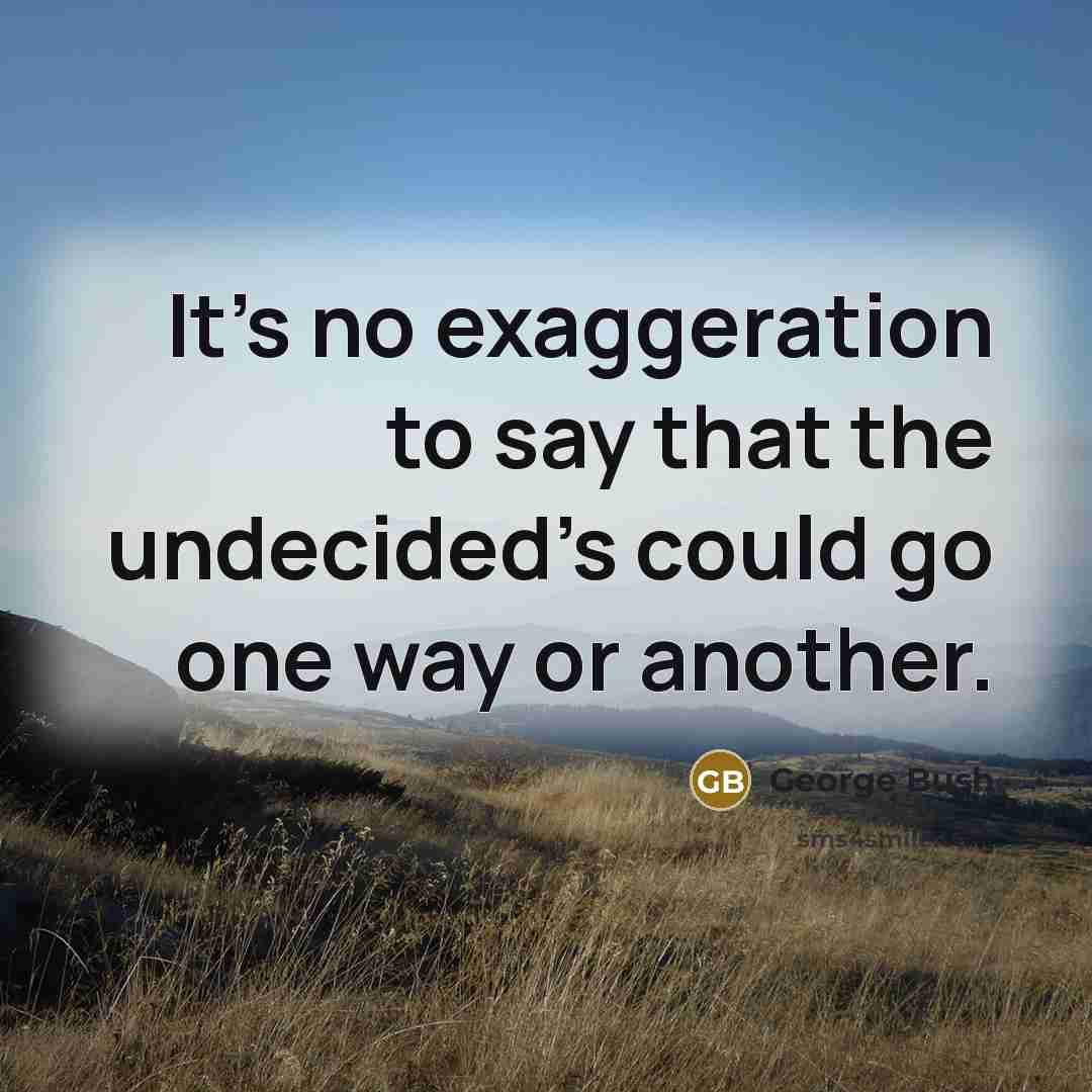 “It's no exaggeration to say that the undecided's could go one way or another.” quote by George Bush