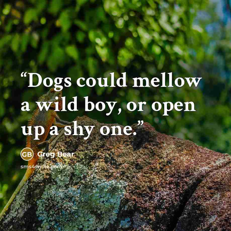 “Dogs could mellow a wild boy, or open up a shy one.” quote by Greg Bear