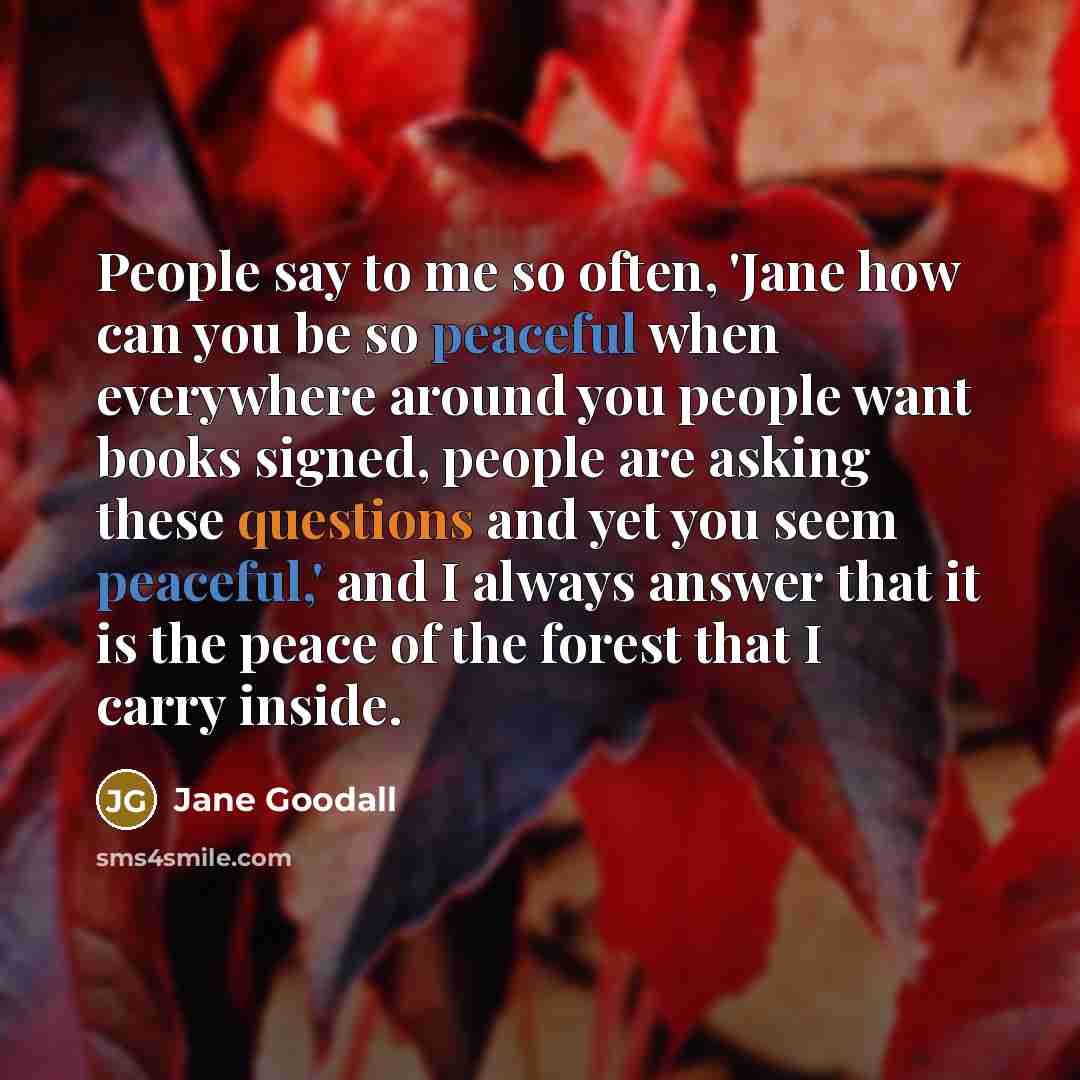 “People say to me so often, 'Jane how can you…” quote by Jane Goodall