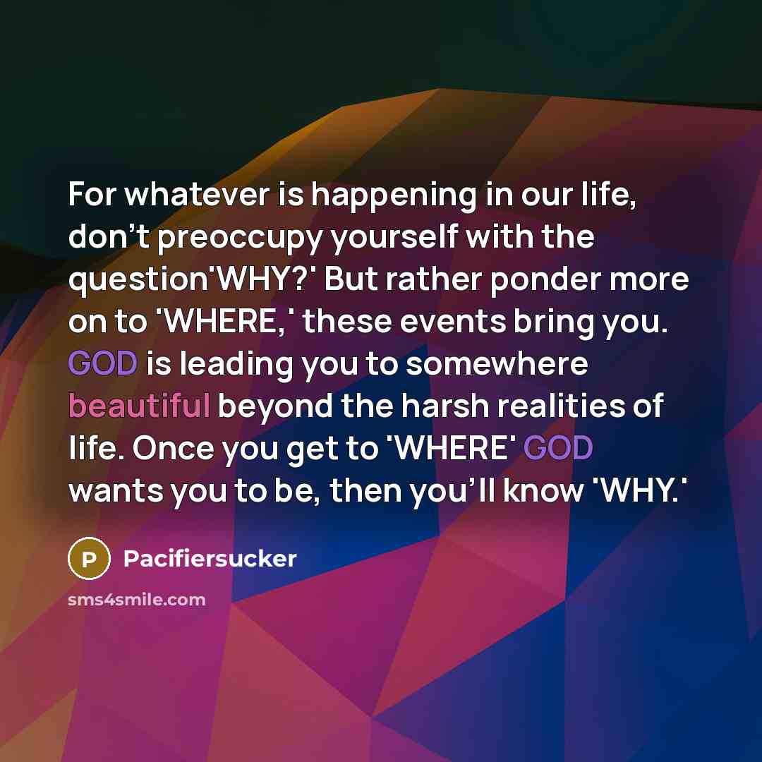 “For whatever is happening in our life, don't preoccupy yourself…” quote by Pacifiersucker