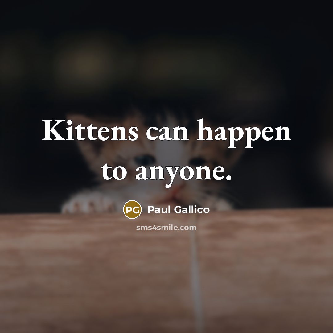 “Kittens can happen to anyone.…” quote by Paul Gallico