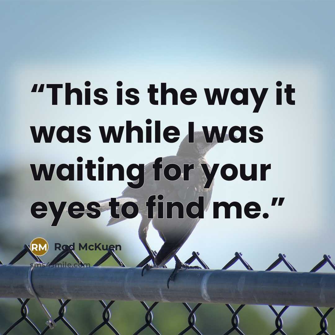 “This is the way it was while I was waiting for your eyes to find me.” quote by Rod McKuen