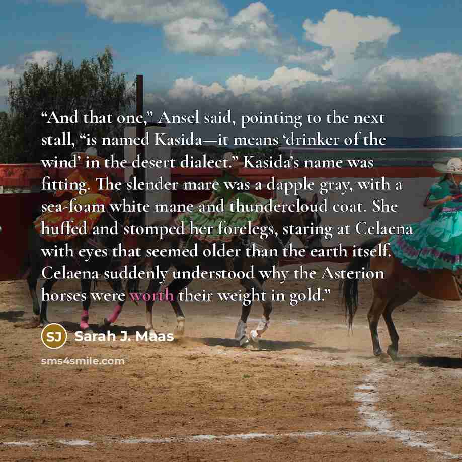 “And that one,” Ansel said, pointing to the next stall, “is named Kasida—it means ‘drinker of the wind’ in the desert dialect.” Kasida’s name was fitting. The slender mare was a dapple gray, with a sea-foam white mane and thundercloud coat. She huffed and stomped her forelegs, staring at Celaena…” quote by Sarah J. Maas