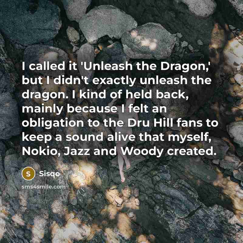 “I called it 'Unleash the Dragon,' but I didn't exactly…” quote by Sisqo