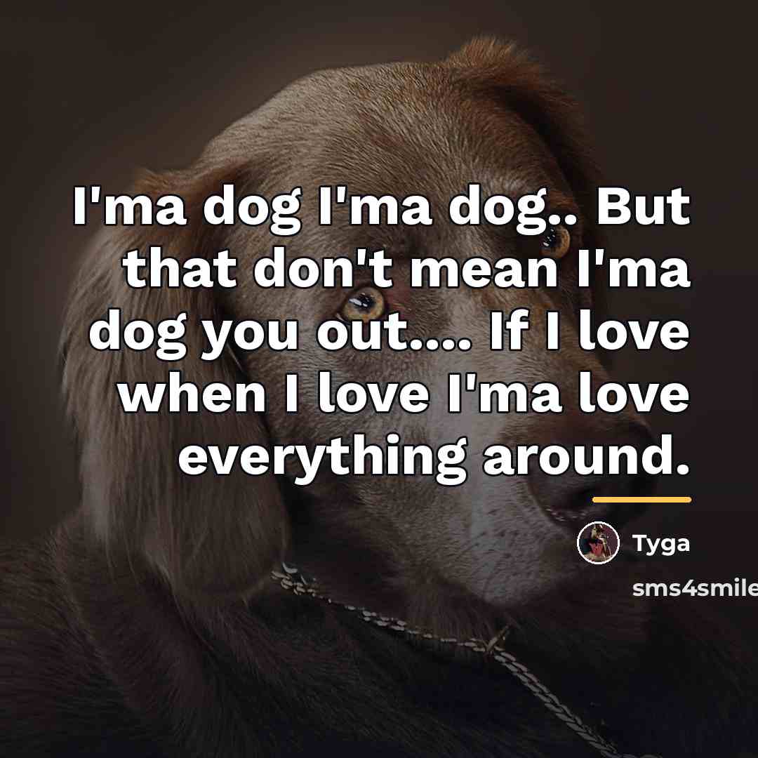 “I'ma dog I'ma dog.. But that don't mean I'ma dog…” quote by Tyga