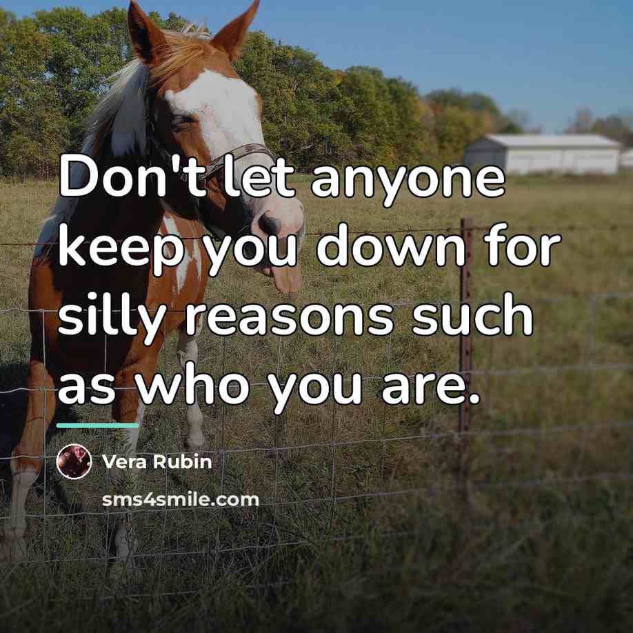 “Don't let anyone keep you down for silly reasons such…” quote by Vera Rubin