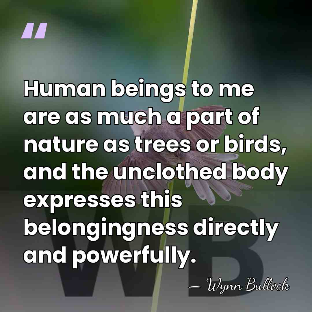 Human beings to me are as much a part of nature as&hellip; - Wynn Bullock