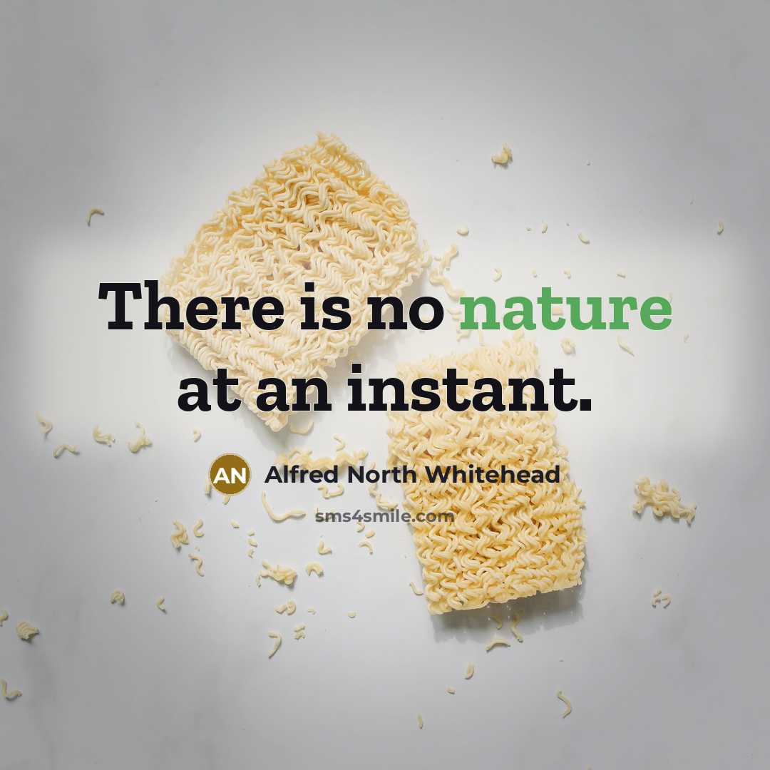 “There is no nature at an instant.…” quote by Alfred North Whitehead
