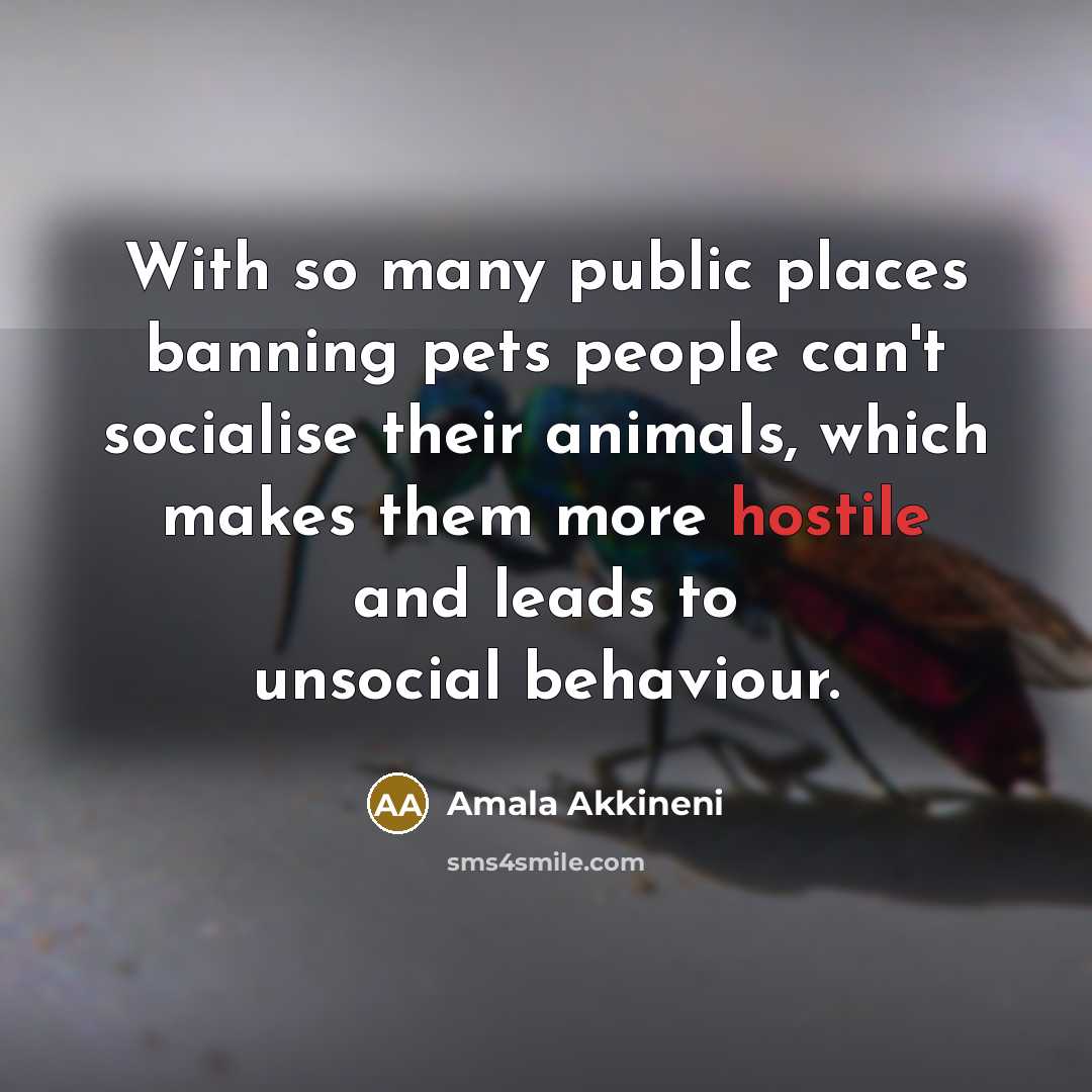 “With so many public places banning pets people can't socialise…” quote by Amala Akkineni