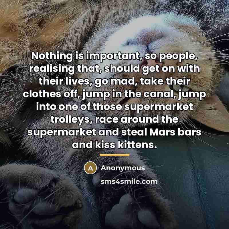 “Nothing is important, so people, realising that, should get on…” quote by Anonymous