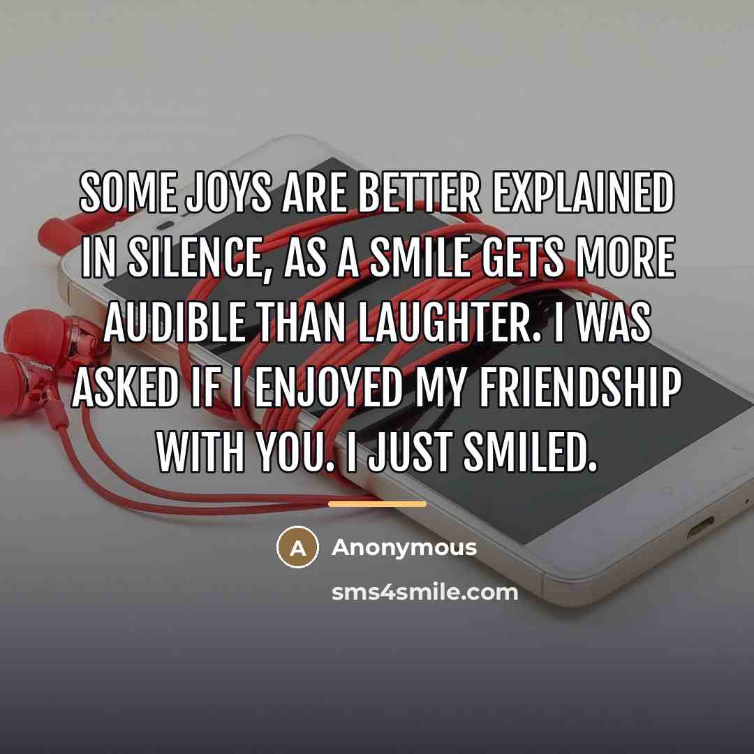 “Some joys are better explained in silence, as a smile…” quote by Anonymous