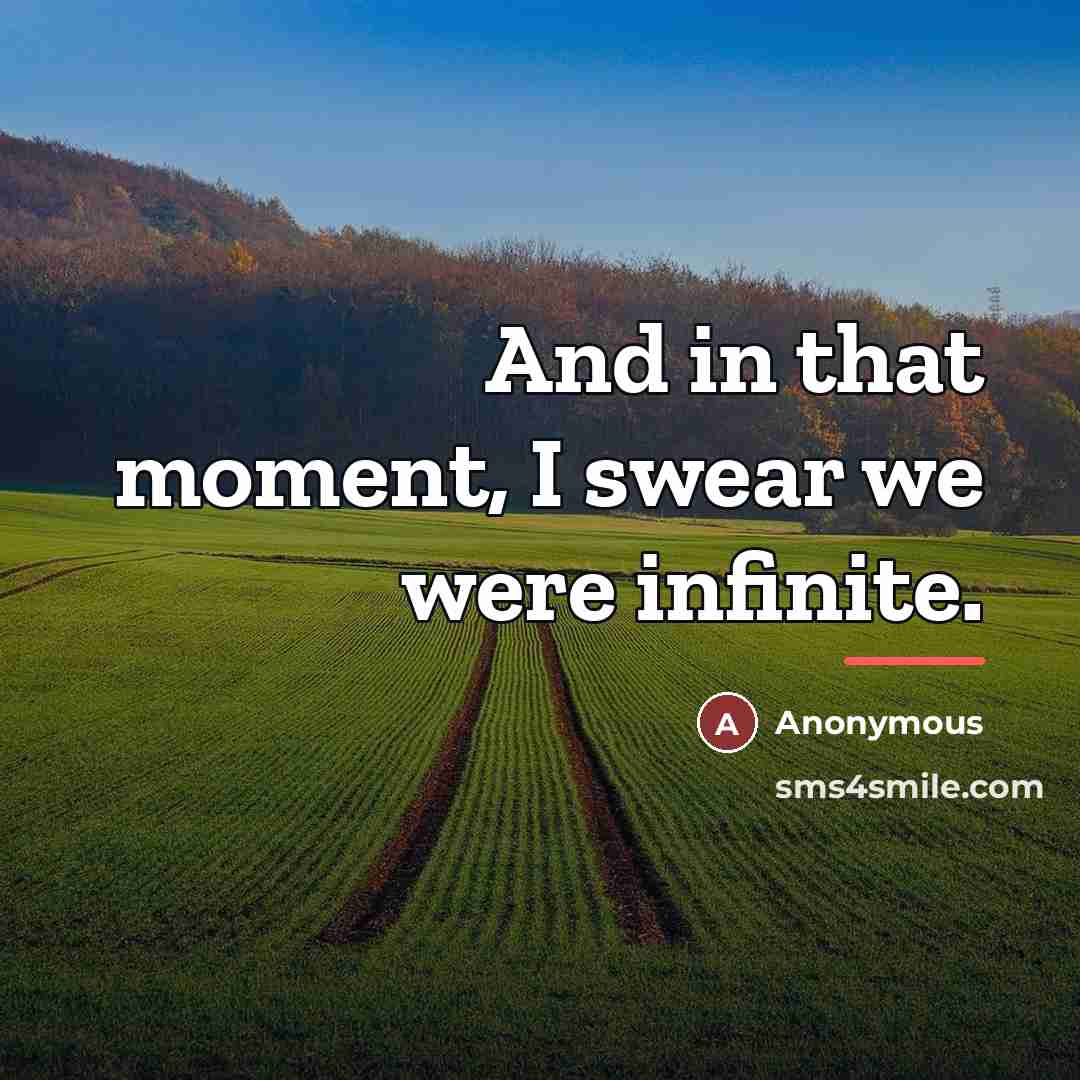 “And in that moment, I swear we were infinite.…” quote by Anonymous