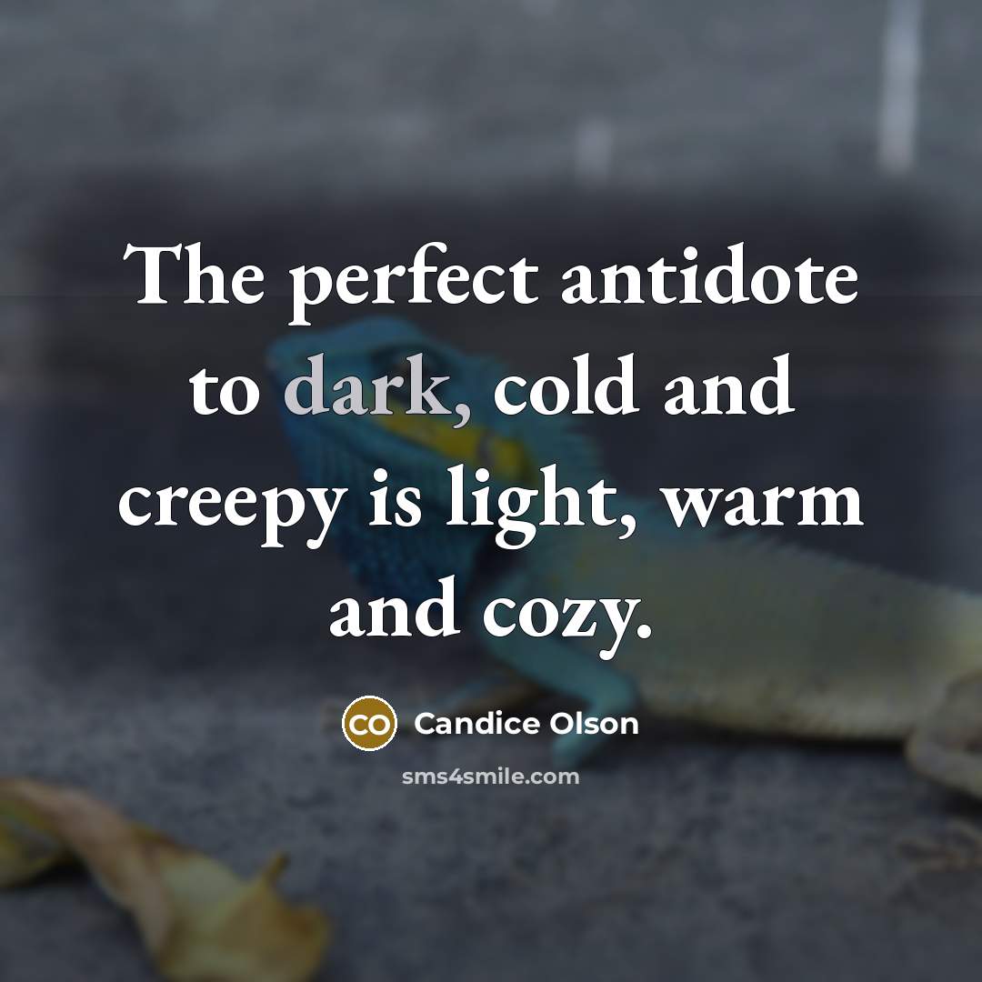 “The perfect antidote to dark, cold and creepy is light,…” quote by Candice Olson